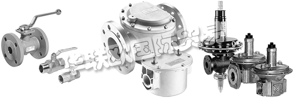 DUNGS是安全清潔氣體燃燒的同義詞，倡導(dǎo)與客戶緊密合作，