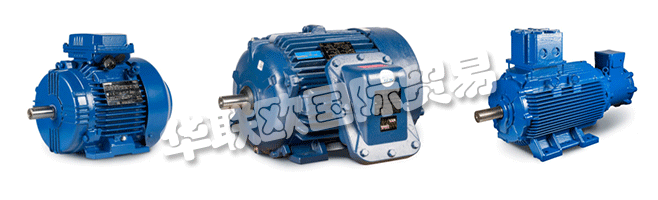 Regal的商業(yè)組織與CEMP?Srl一起，通過(guò)遍布許多國(guó)家的代理商，