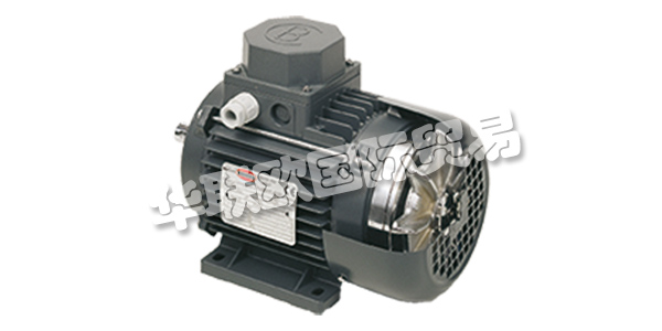 MOTORI BONORA成立于1945年，其業(yè)務(wù)逐步集中在異步電動機的生產(chǎn)上。  　　在這些年里，他們努力追隨市場的發(fā)展，加強他們制造商的使命，并高度重視產(chǎn)品和服務(wù)的質(zhì)量。