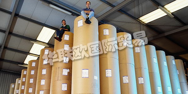 APV德國是歐洲卷材紙和柔性材料加工領域的領先公司之一。在客戶不斷變化的需求的推動下，他們不斷努力改進和完善他們的加工技術。這得到了密集投資計劃的支持。因此，他們實現(xiàn)了先前的機器擴展和存儲容量的擴展。2011年，Bramsche工廠新建了一個生產(chǎn)車間，為高科技，醫(yī)療技術和食品行業(yè)的客戶提供清潔和衛(wèi)生的特殊條件。